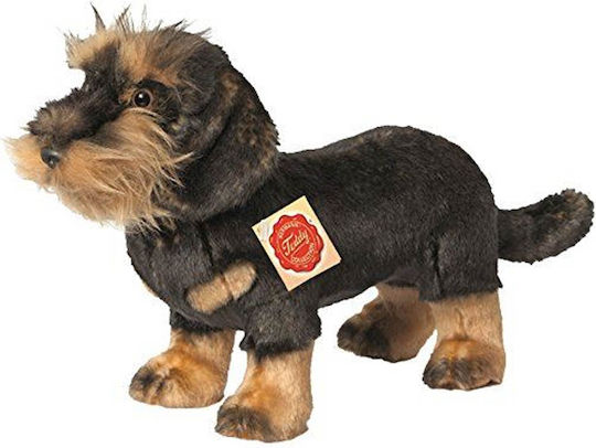 Teddy Λούτρινο Σκυλάκι για 3+ Ετών 28 εκ.