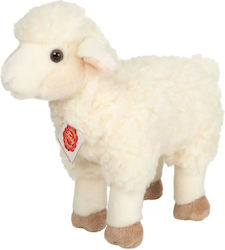 Teddy Lamb for 3+ Years 25 cm