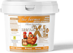 Farmer Xl Μεγάλα Αυγά Κότας 3.5kg Landmark