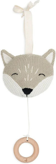 Jollein Pendant Toy for Crib and Stroller with Music for 0++ Months