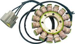 Ricks Motorsport Electric Spulen Motorrad 21-038