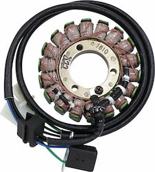 Ricks Motorsport Electric Spulen Motorrad 21-822