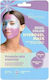 IDC Institute Hydrogel Face Mask 28gr