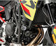 Puig Motorradschutzgitter BMW F900GS 24