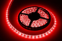 Rebel Wasserdicht LED-Streifen 12V mit Rot Licht 5m Rebel Wasserdicht LED-Streifen 12V mit Rot Licht 5m