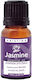 Hristina Cosmetics Ätherisches Öl Jasmin 10ml