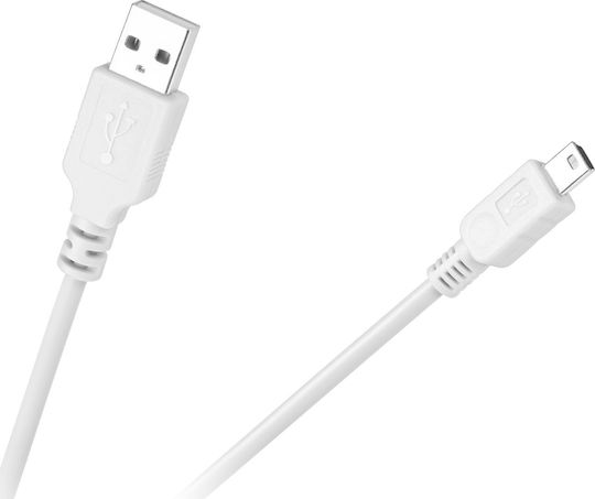 1m USB 2.0 Cable A-Male to mini A-Male (KPO2905W-1)