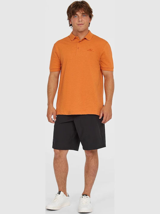 O'Neill Polo T-shirt Cinnamon Stick