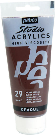 Acrylic Pebeo Studio Paint 100ml Burnt Umber 831029