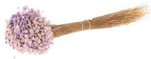 Glixia Dried Flower 50g Lilac