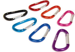 Companion Keychain (Random Selection) Companion Keychain (Random Selection)