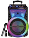 Karaoke Speaker With Wireless Microphone And Lighting Effects SM-1209 Black