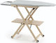 Ironing Board for Steam Iron Foldable 135x45x93cm