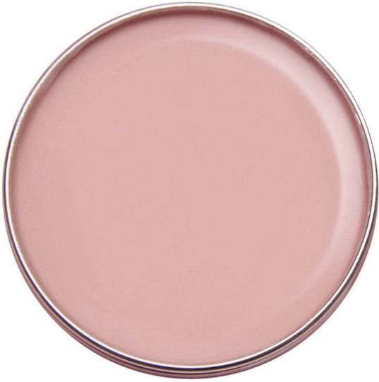 Alezori Nail Acrygel Acrygel Vintage Pudre 30gr