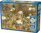 Αμερικανικός Σπίνος Puzzle 2D 500pcs