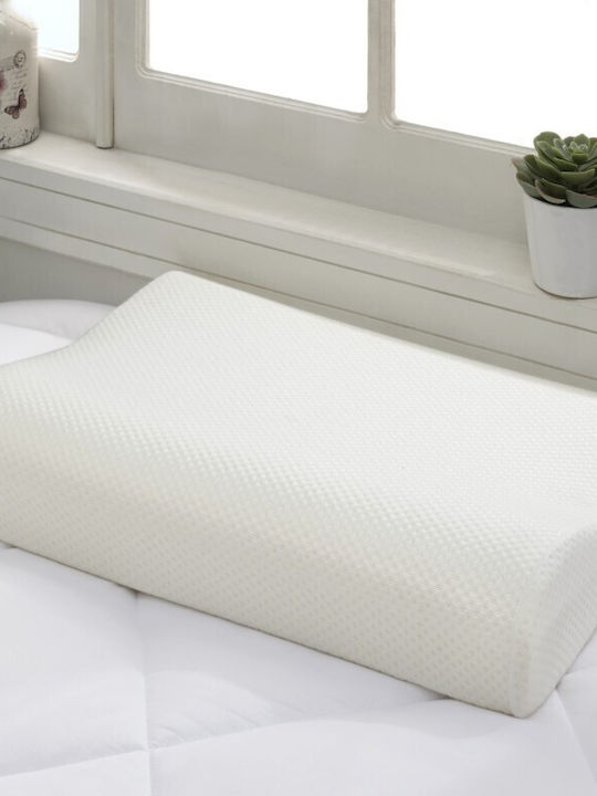 Cotton Box Polyester Kopfkissen 40x60x12cm