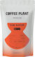 Καφές Κόκκους Coffee Plant Flow Blossom 100 G