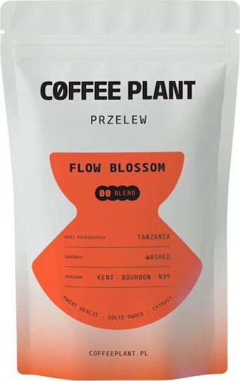 Καφές Κόκκους Coffee Plant Flow Blossom 100 G