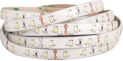 Eurolamp LED Strip 24V Warm White Light 5m Type...