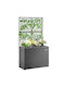 Bakaji Planter Box Plastic Grey 22x33.6x25cm.
