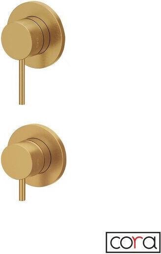Cora Built-in Mixer & Diverter Set for Shower 1 Exit Inox