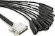 Warm Audio Cable XLR male - XLR male Μαύρο 1.8m