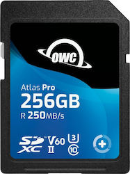 OWC Atlas Pro SDXC Class 10 V60 UHS-II