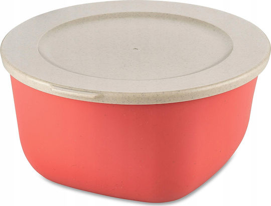 Koziol Plastic Transparent Lunch Box 2lt