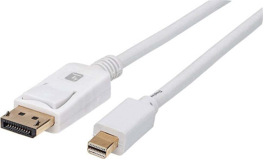 Techly Cable DisplayPort male - mini DisplayPort male 3m Λευκό
