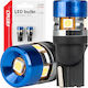 AMiO Lamps Car T10 / W5W Canbus LED 6000K Cold ...