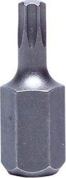 Proline Walnut with Torx Head and Socket 3/8'' T55x30mm 2pcs