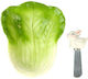 Butter Dish Knife Cabbage Bunny Ceramic Buona Pasqua 14x12x4 Cm