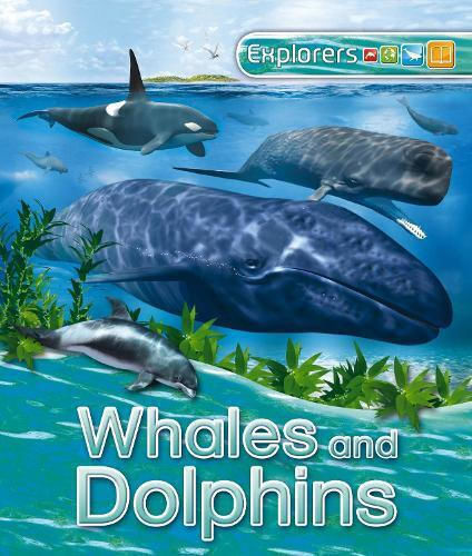 Explorers Whales And Dolphins Anita Ganeri Ltd 2016