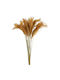 Αποξηραμένη Melic Grass 50εκ Ρτ161 Nv-500-530-161
