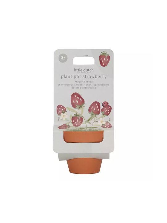 Artificial Plant in Small Pot Multicolour 8cm Little Dutch