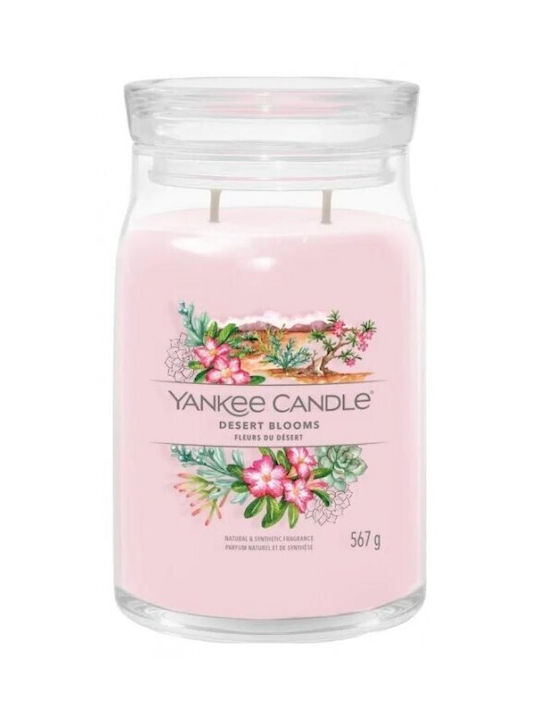 Yankee Candle Duftkerze mit Duft YANKEE CANDLE ...