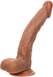 Calexotics Dildo με Όρχεις και Βεντούζα Καφέ 24.25cm Calexotics Dildo με Όρχεις και Βεντούζα Καφέ 24.25cm