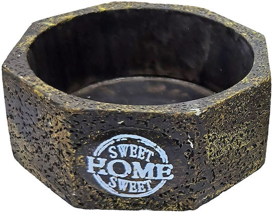 HOMie Ceramic Multicolour Plant Pots Set of 6