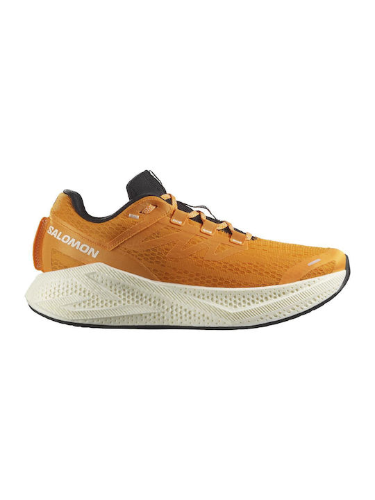 Salomon Aero Glide 3 Ανδρικά Αθλητικά Παπούτσια...