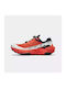Fuga Ex 3 Sport Shoes Trail Running Orange