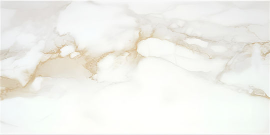 Stn Ceramica Gold Fliese Boden / Wand Küche / Bad 120x60cm Gold