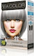 Sea Color Seacolor Hair Dye 0.01 Silver