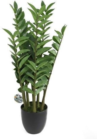 Plantă Artificială Zamioculcas Harmony 75cm