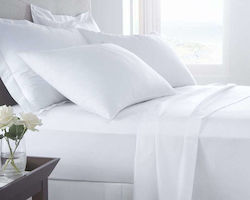 Hotelsheet 52% Baumwolle/48% Polyester 144TC 250x280 Hotelsheet 52% Baumwolle/48% Polyester 144TC 250x280