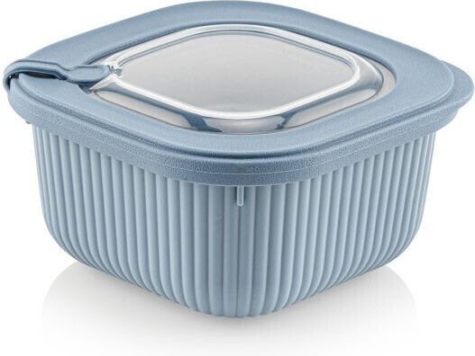 Viosarp Microwave Plastic Lunch Box Transparent 600ml