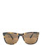 Taylor Morris Unisex Sunglasses with Brown Tartaruga Plastic Frame and Brown Lens TaylorMorris32043-C4