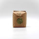 Raw Pumpkin Seeds Shelled Imported 500g