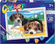 Ravensburger Malerei