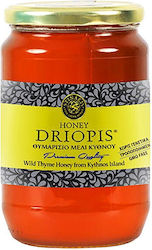 Мед от портокалов цвят Driopis 960g