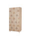 Zwei Türen Schrank Bunt 90x52x192cm